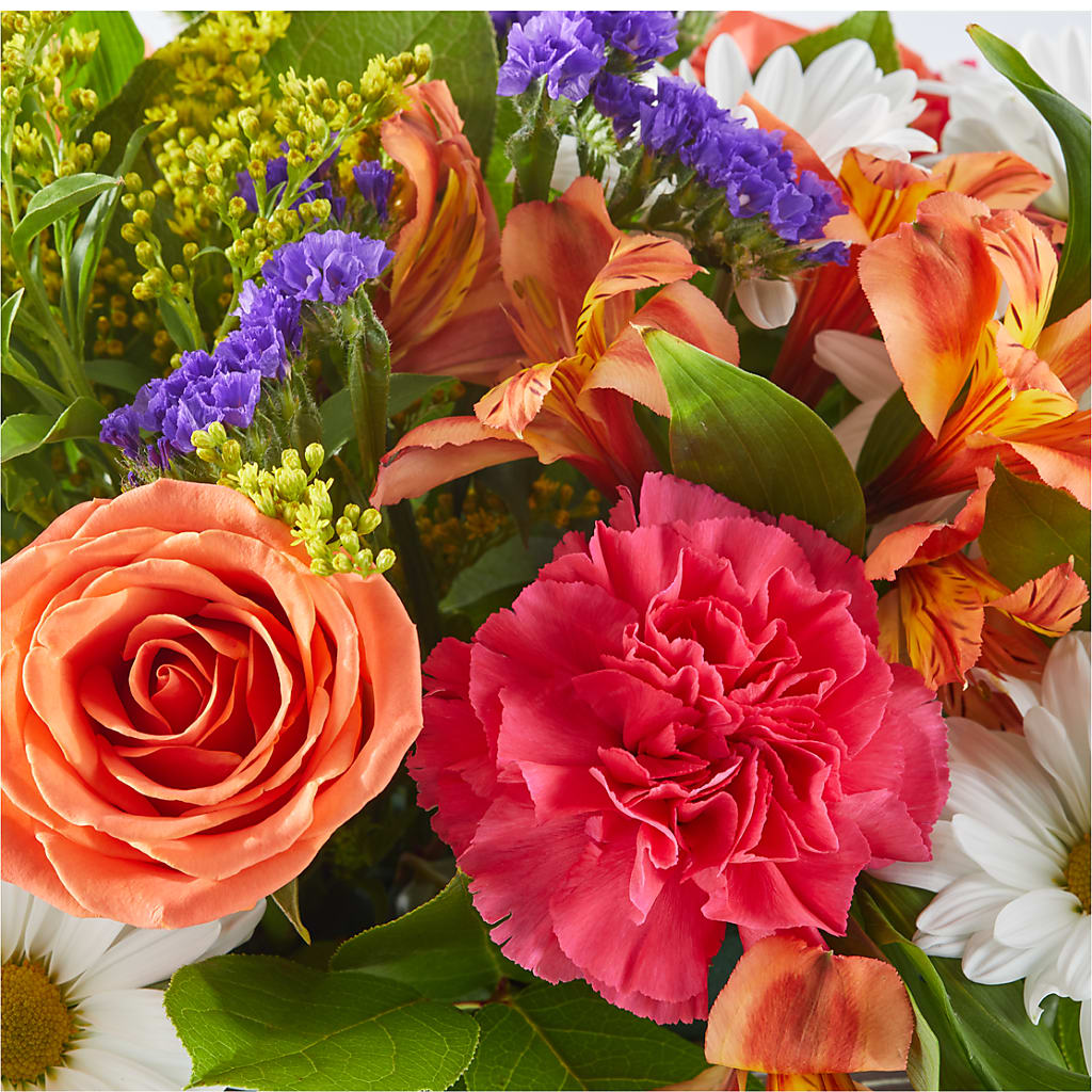 Oopsie Daisy Box Bouquet – PAT'S FLORIST AND GIFTS, Laurel MS