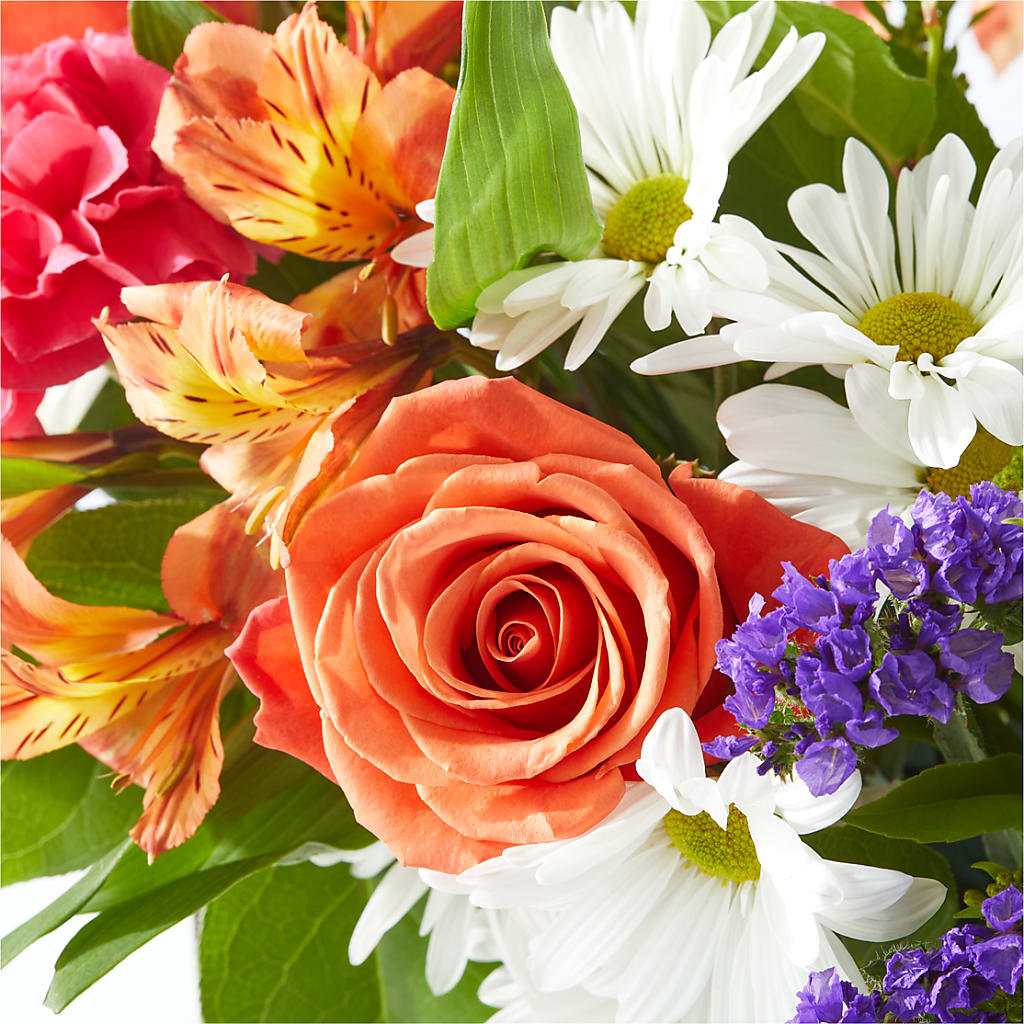 Oopsie Daisy Box Bouquet – PAT'S FLORIST AND GIFTS, Laurel MS