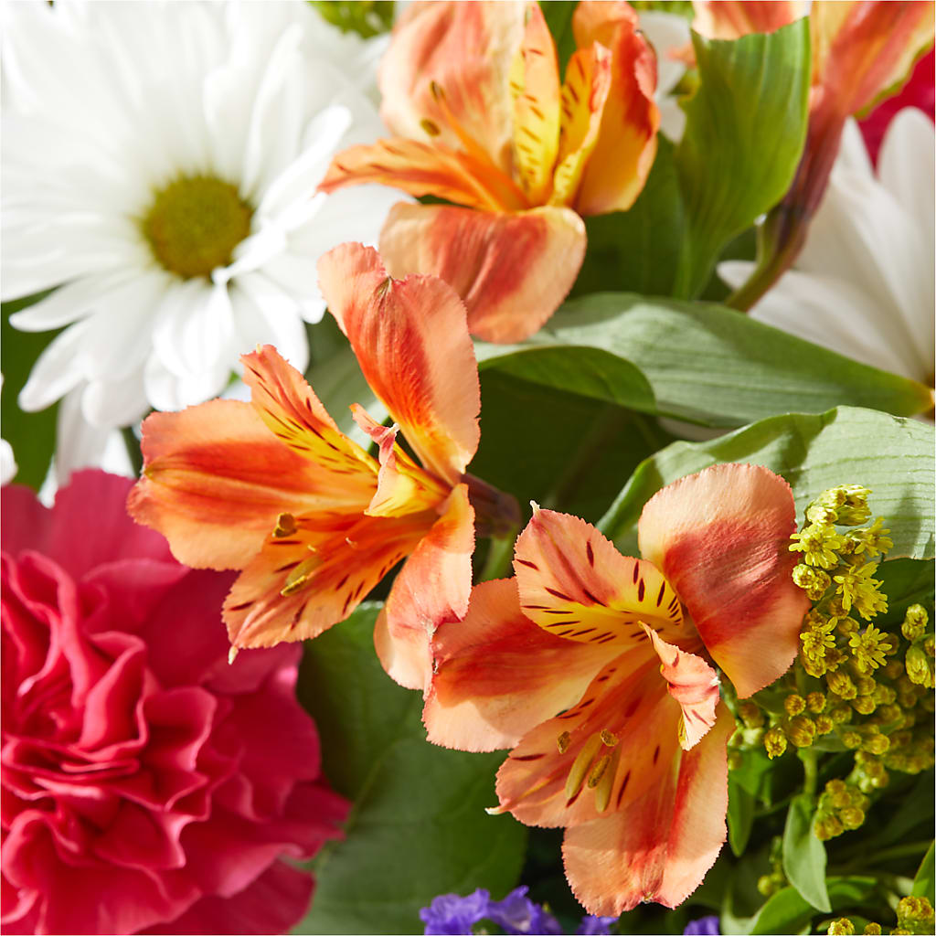 Oopsie Daisy Box Bouquet – PAT'S FLORIST AND GIFTS, Laurel MS
