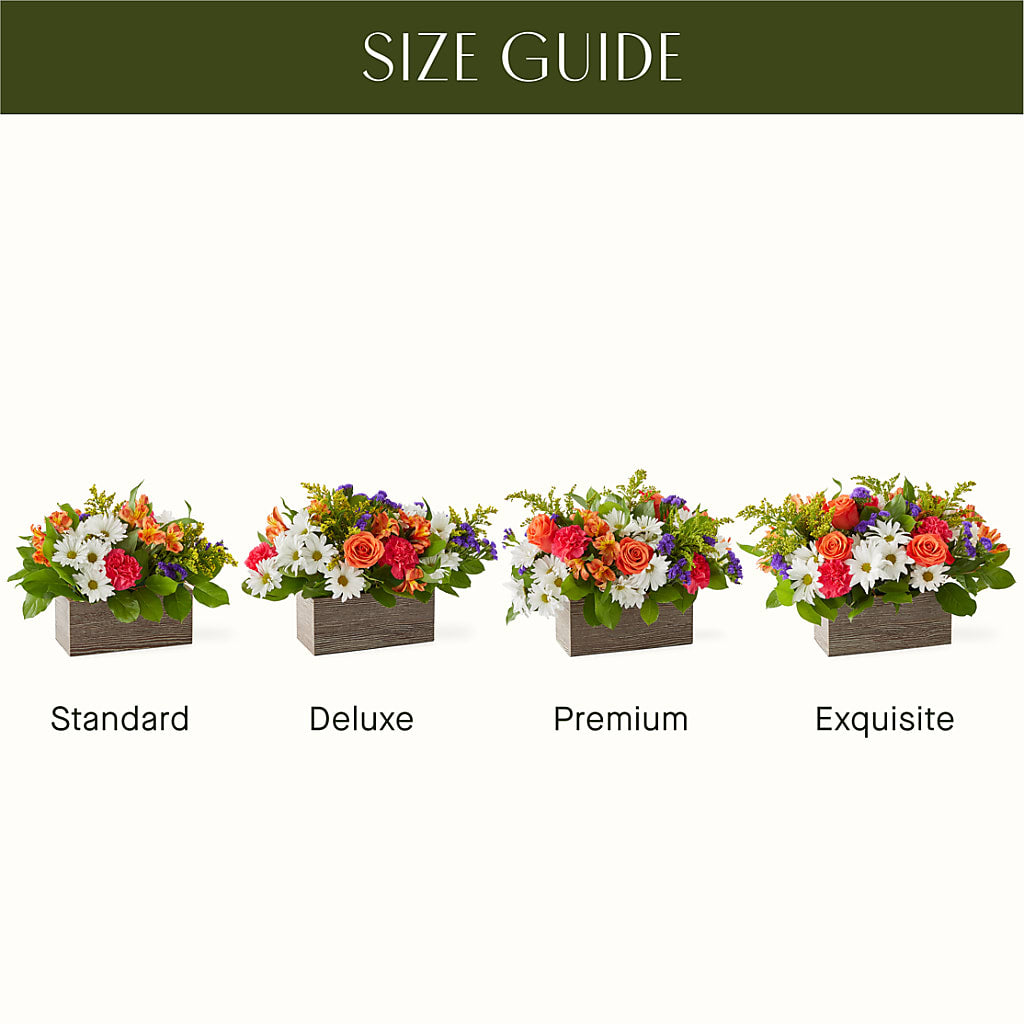 Oopsie Daisy Box Bouquet – PAT'S FLORIST AND GIFTS, Laurel MS