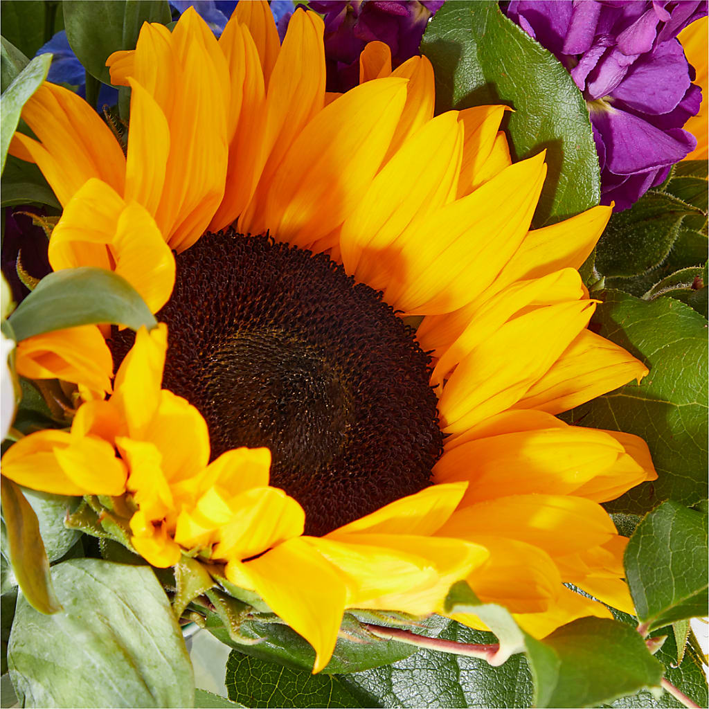 Catching Rays Bouquet – PAT'S FLORIST AND GIFTS, Laurel MS
