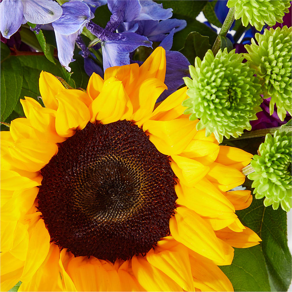 Catching Rays Bouquet – PAT'S FLORIST AND GIFTS, Laurel MS