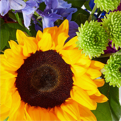 Catching Rays Bouquet – PAT'S FLORIST AND GIFTS, Laurel MS