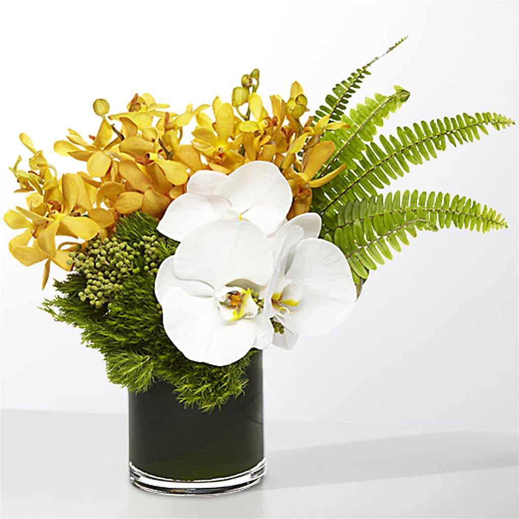 The Tropics – PAT'S FLORIST AND GIFTS, Laurel MS
