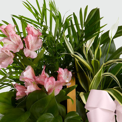 Living Spirit Dishgarden – PAT'S FLORIST AND GIFTS, Laurel MS