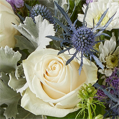 Shooting Star Bouquet – PAT'S FLORIST AND GIFTS, Laurel MS