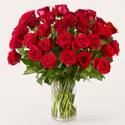 The One Red Rose Bouquet – PAT'S FLORIST AND GIFTS, Laurel MS